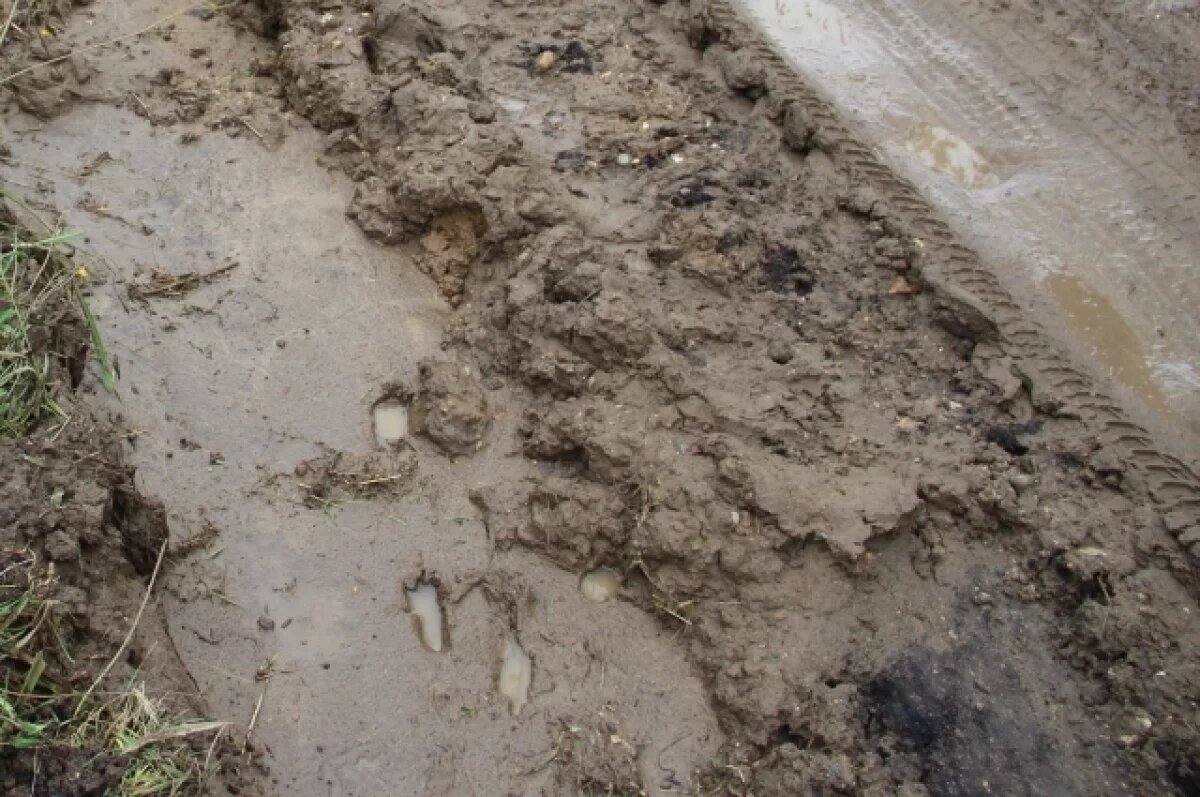    Трое подростков застряли в грязной жиже на стройплощадке в Чувашии