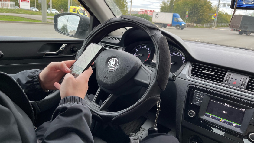    Фото progorod43.ru