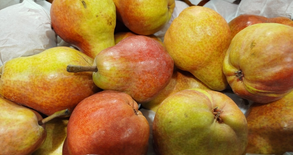 Гид по сортам груш из супермаркетов: описание и вкус