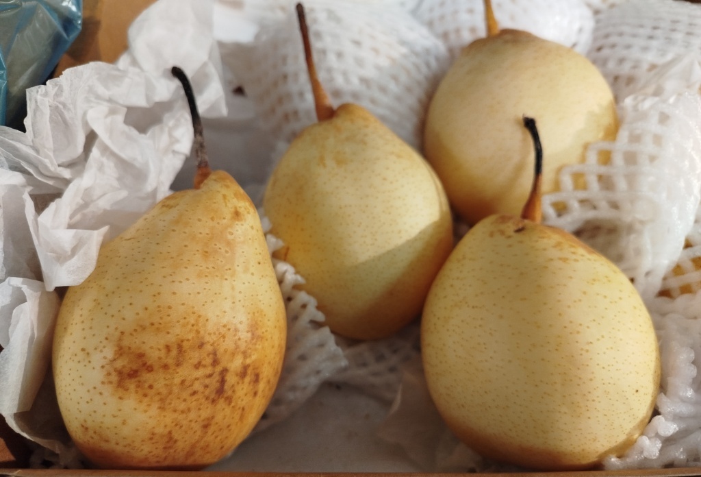  Груша китайская