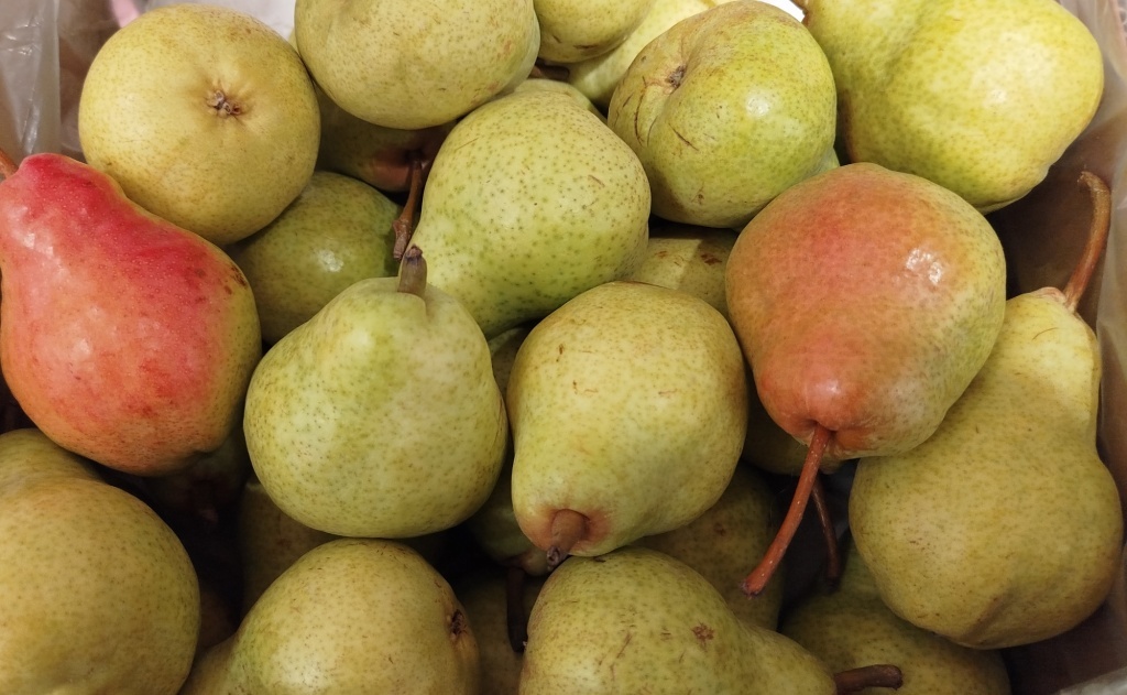  Груши Вильямс