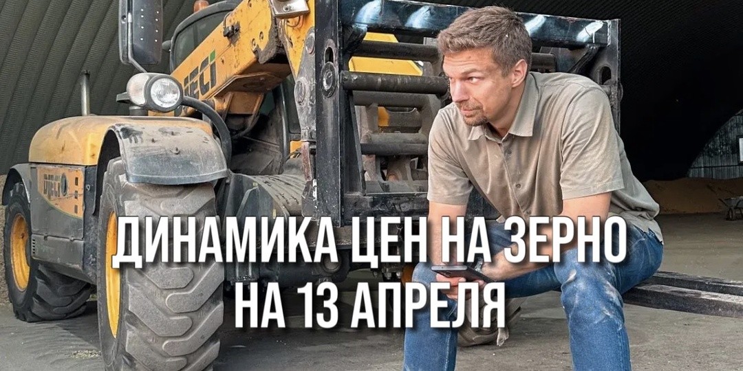 ДИНАМИКА ЦЕН НА ЗЕРНО НА 13 АПРЕЛЯ