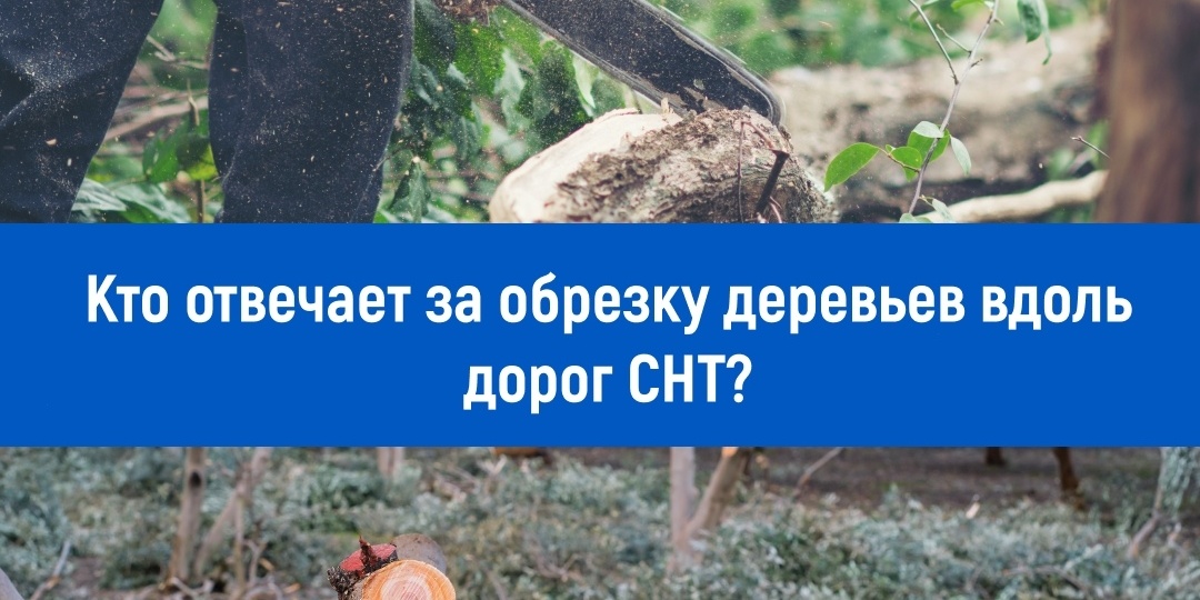 Кто отвечает за обрезку деревьев вдоль дорог СНТ?