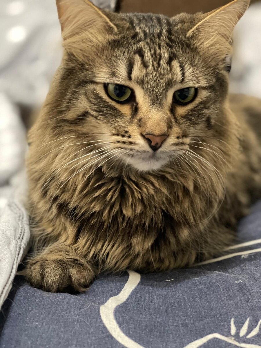 Ванюша, ему делали переливание крови во время болезни. Сейчас здоров и счастлив дома