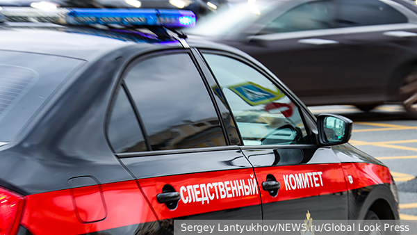     Фото: Sergey Lantyukhov/NEWS.ru/Global Look Press   
 Текст: Вера Басилая