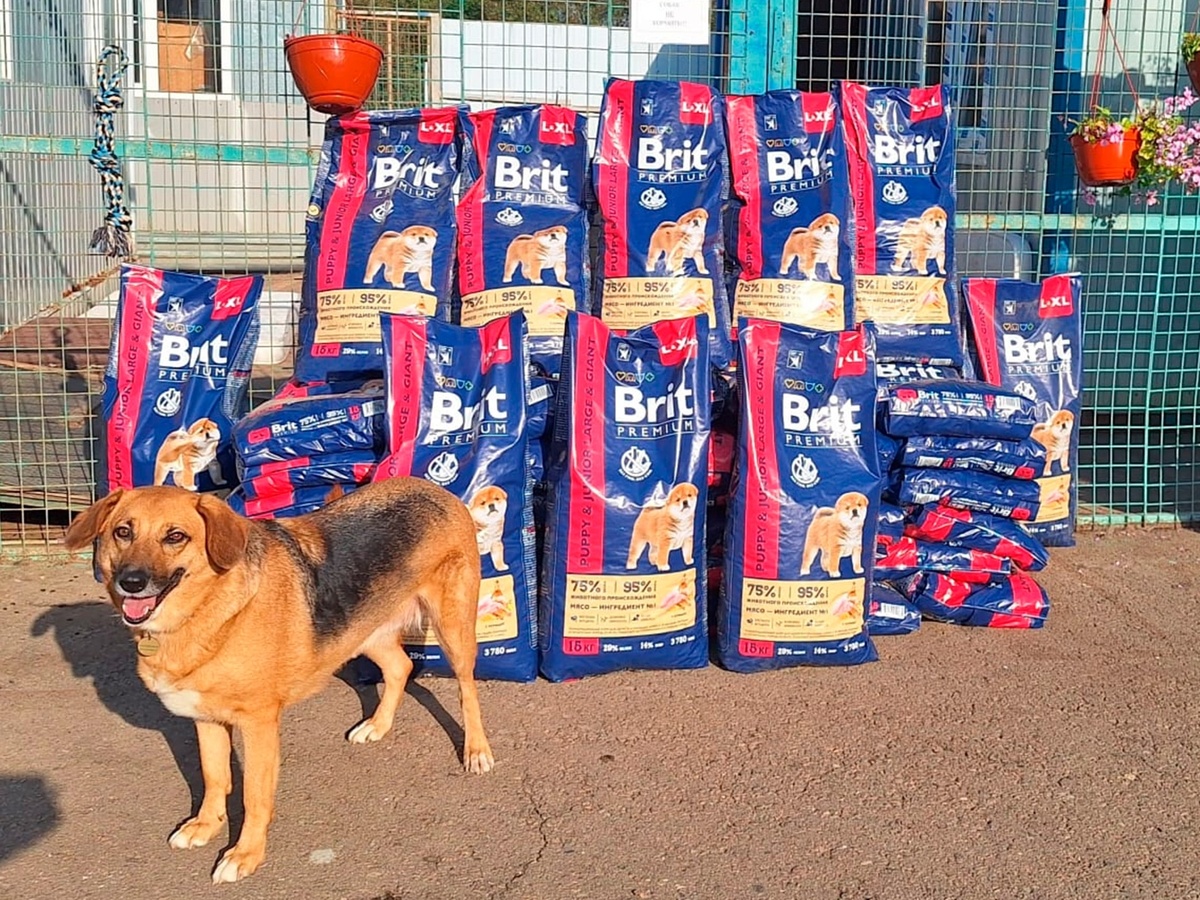 Запас корма в приюте Машкинский