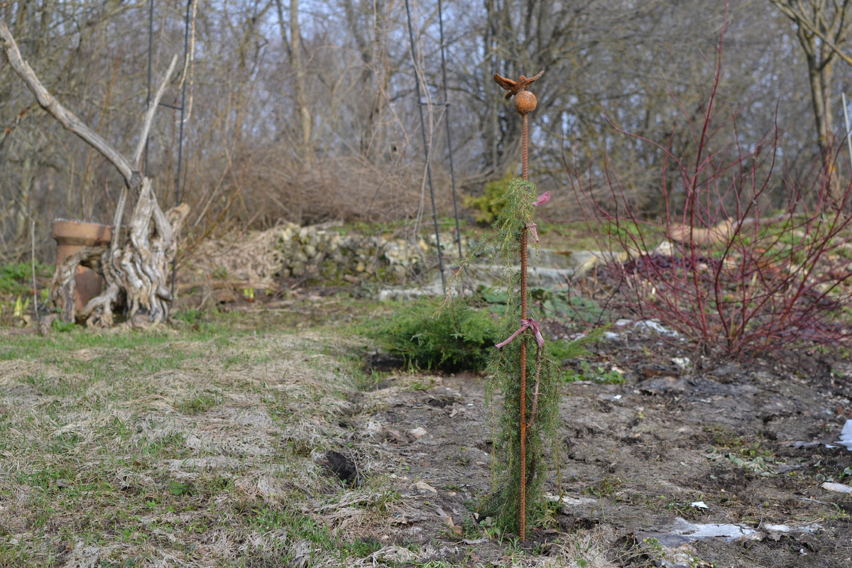 Можжевельник с новым колышком. Минус один у томатов. На фоне вход в Секретный сад