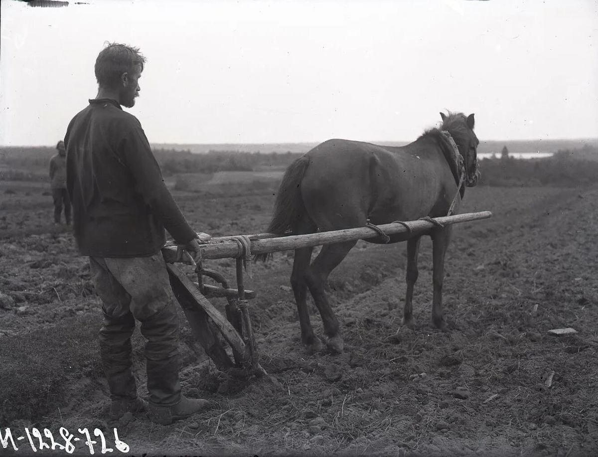Взято из открытых источников интернета Яндекс.