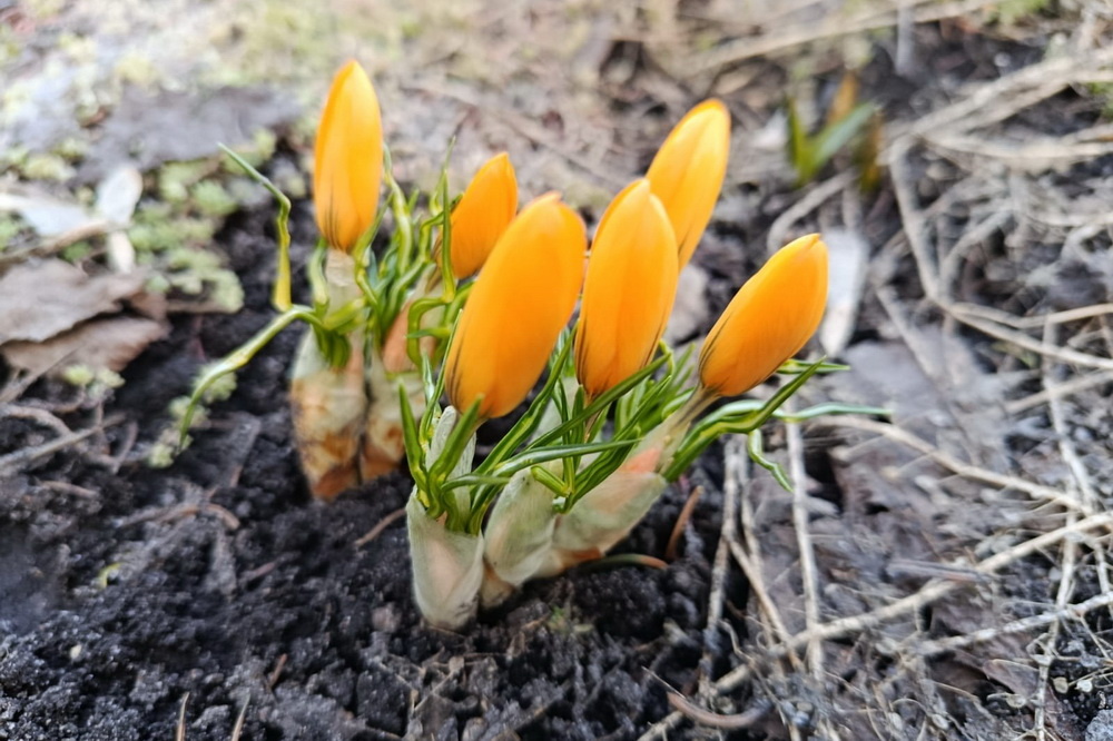    Фото: Светлана Батенёва