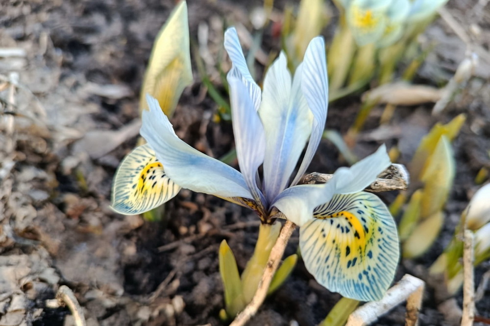    Фото: Светлана Батенёва