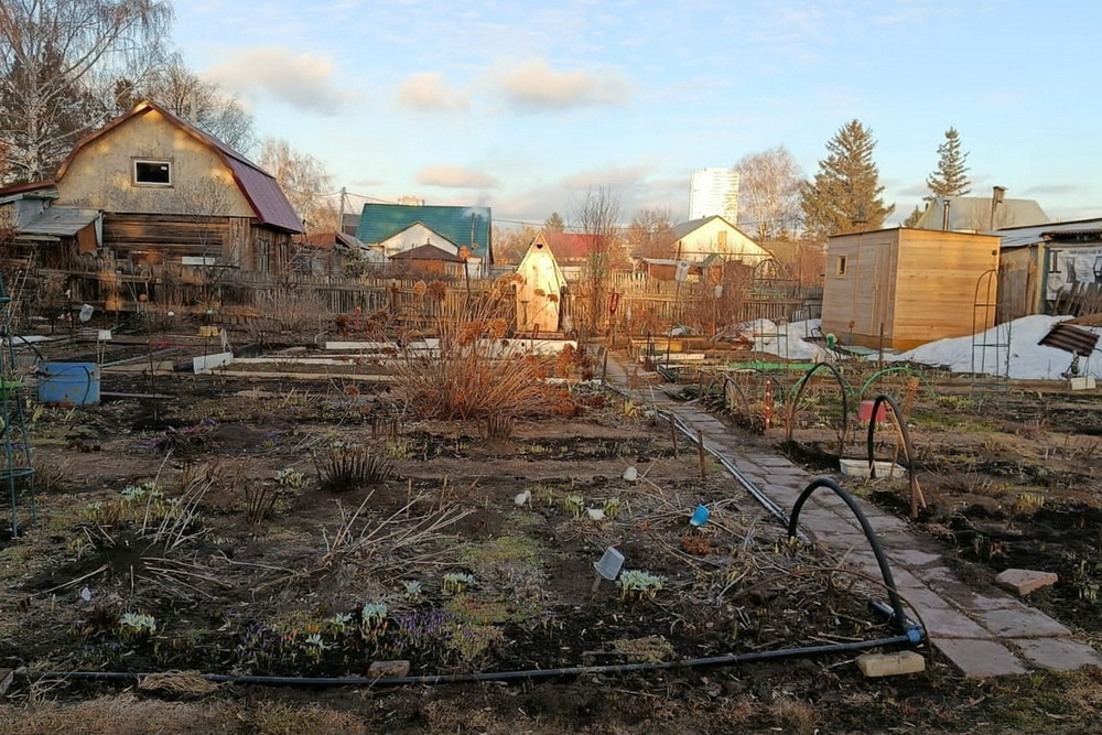    Фото: Светлана Батенёва