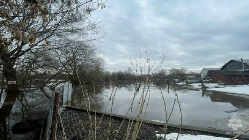    Фото: МЧС Владимирской области