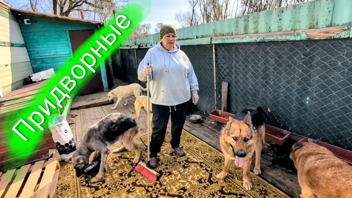 Мама Алла и придворные 