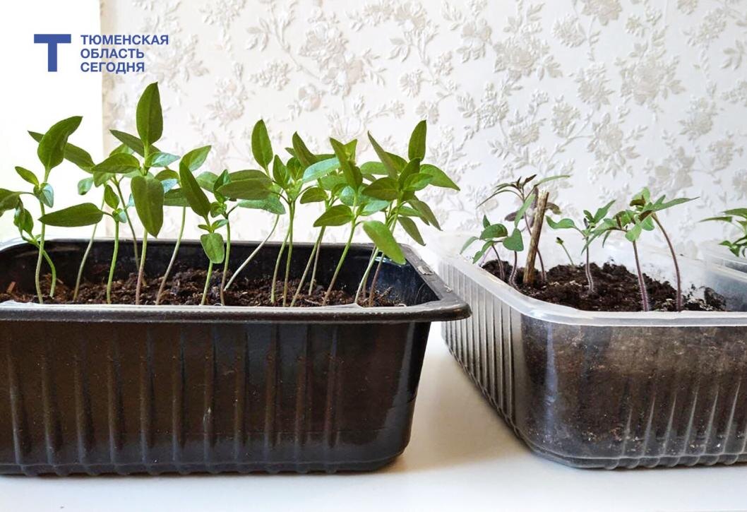  Фото Екатерины Христозовой