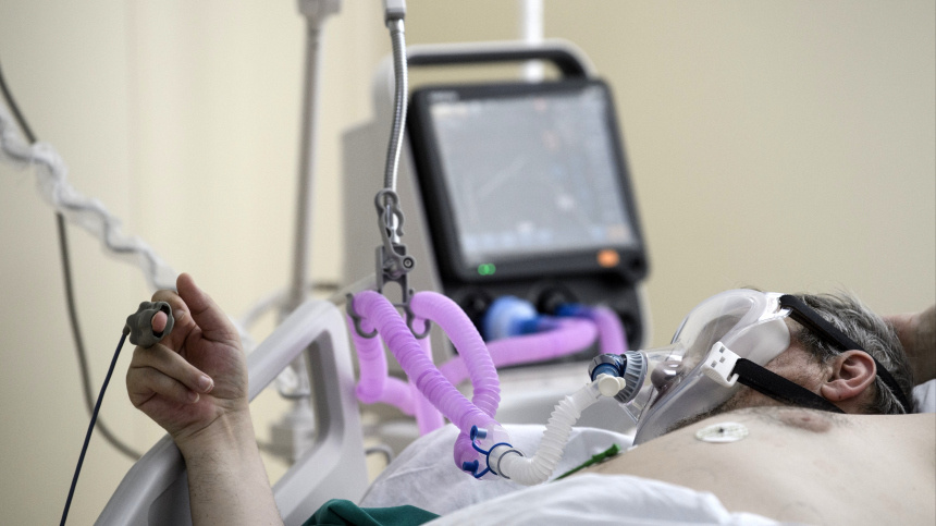    Фото: © РИА Новости/Илья Питалев