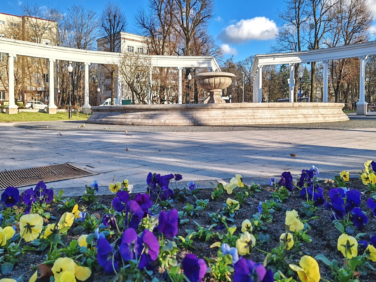 Сквер у памятника Шиллеру. Калининград, апрель 2026