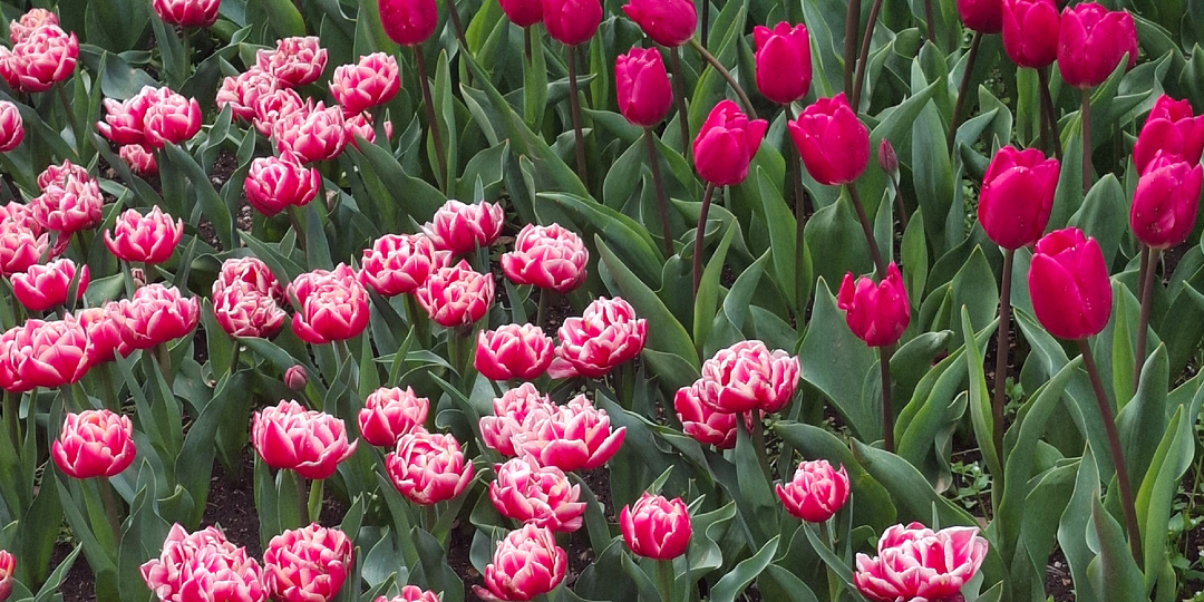 Глава 1569. Классный мужик