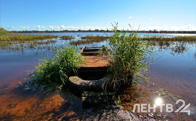    © Анастасия Илюшина / ЛенТВ24, архивное фото
