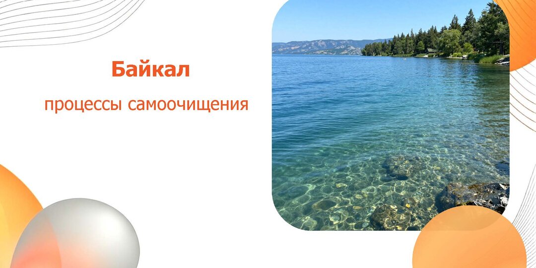 Байкал: пресноводный гигант и его тайны самоочищения