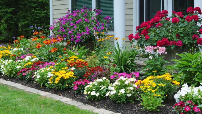    Сделано в Шедевруме