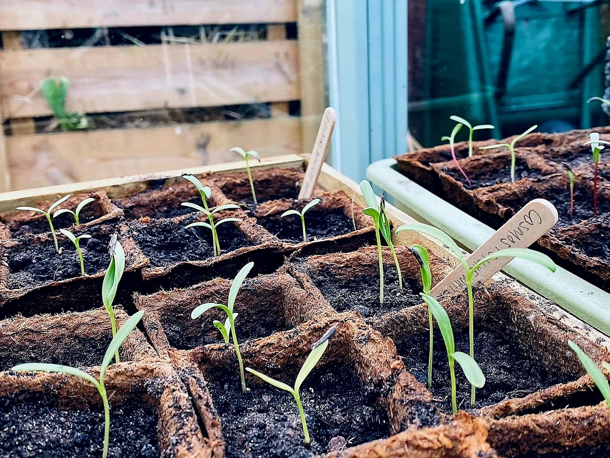 Фото с сайта houseandgarden.co.uk 