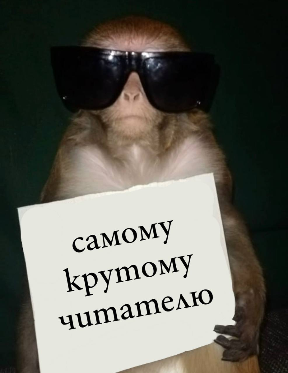 вот вам сигна от моего бро