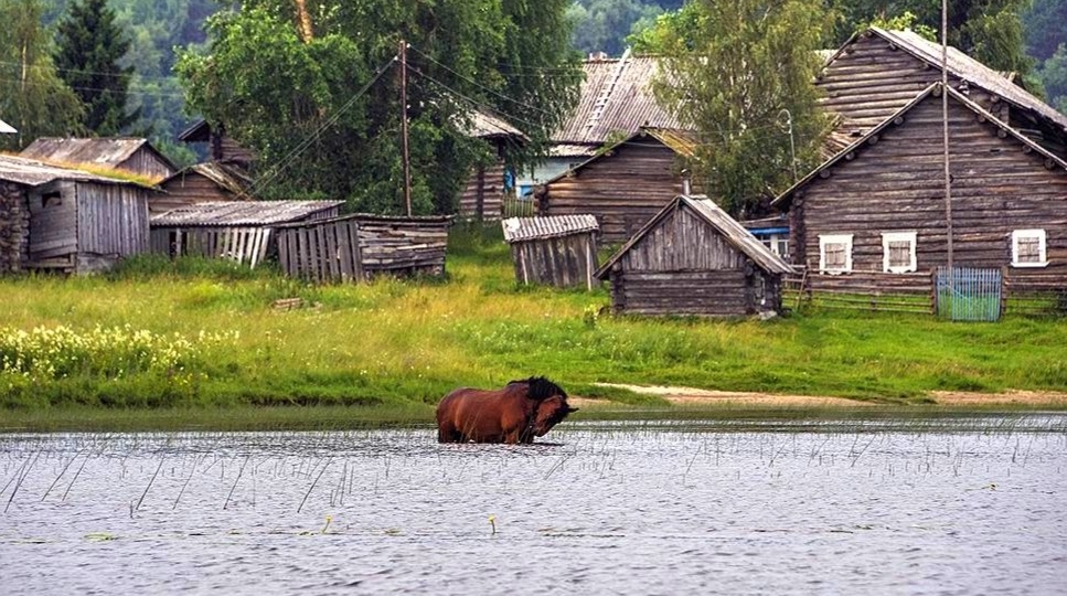 Американец записал 10 вещей, которые поразили его в российской деревне