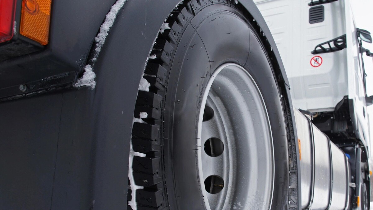    Фото: Vereshchagin Dmitry / Shutterstock / Fotodom