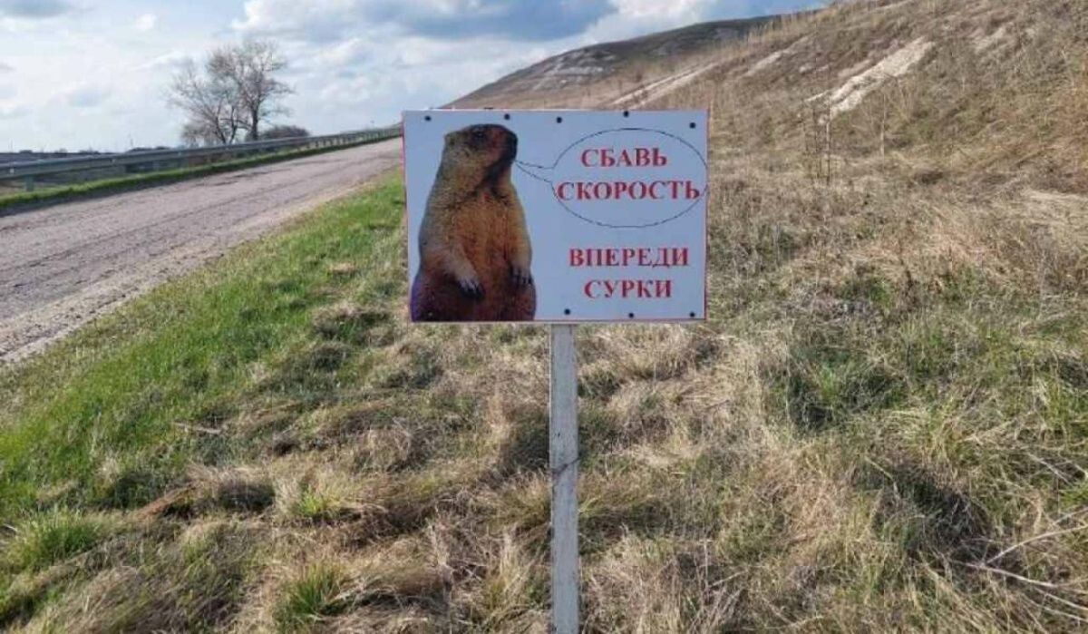     Табличка с предупреждением. Источник: voronezhnews.ru Автор фото: Пресс-служба музея-заповедника «Дивногорье»