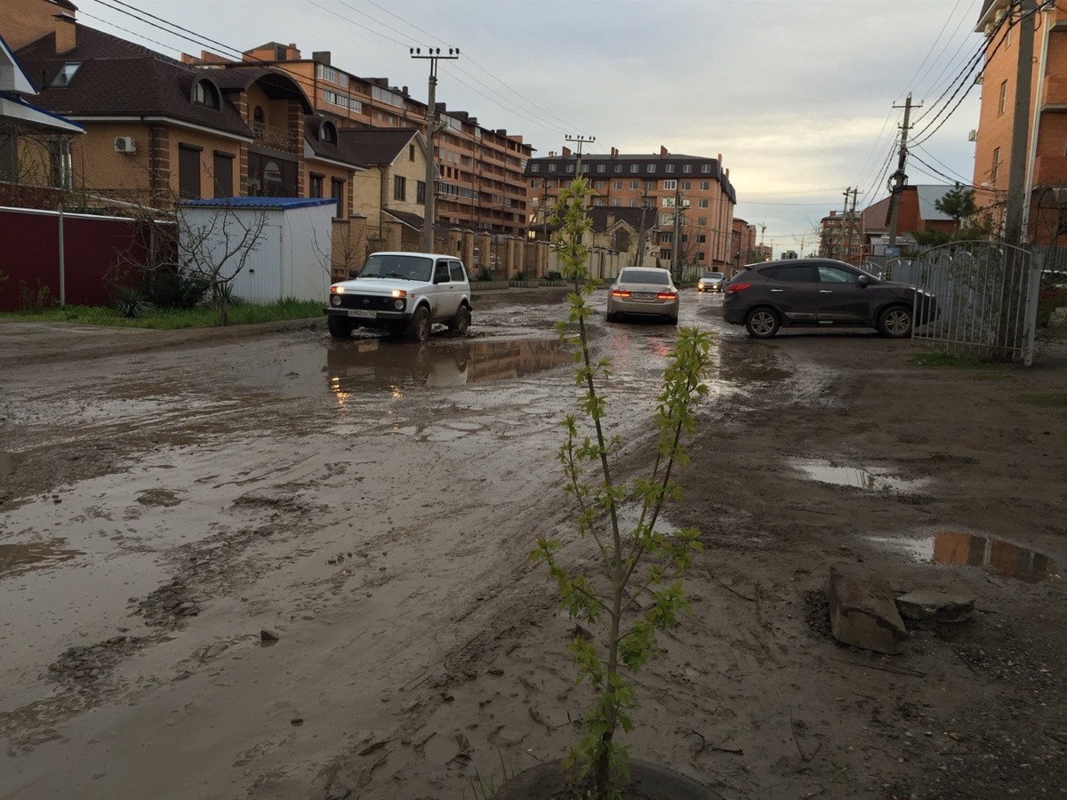 Фото: Утренний Юг