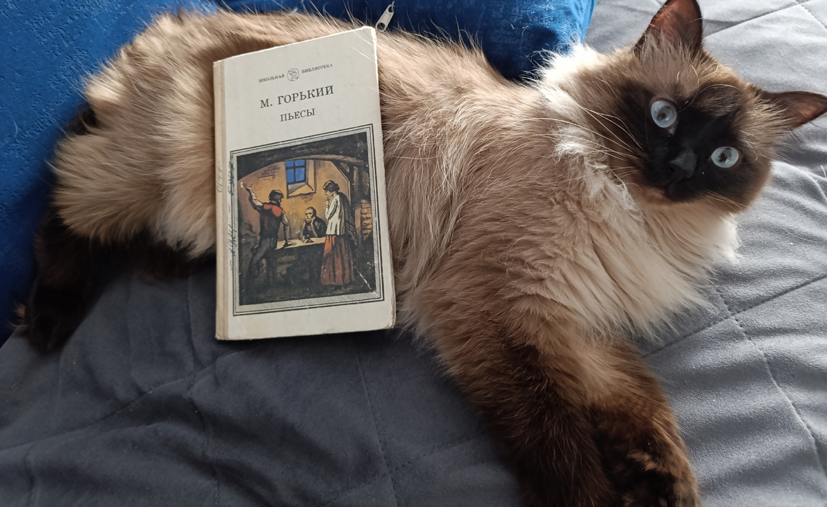 И снова книгу с пьесами Горького выпала честь представлять Джессике. 