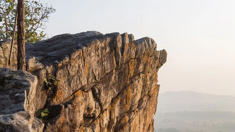    Фото: SteafPong88/Shutterstock/Fotodom