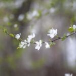   Изображение от freepik