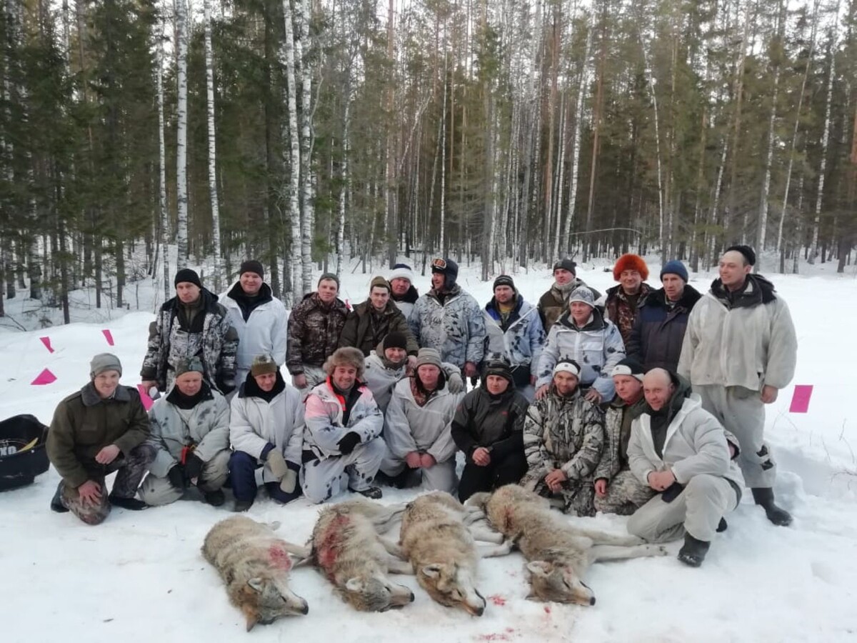 «Гордые охотники», безжалостно уничтожающие братьев наших меньших. 