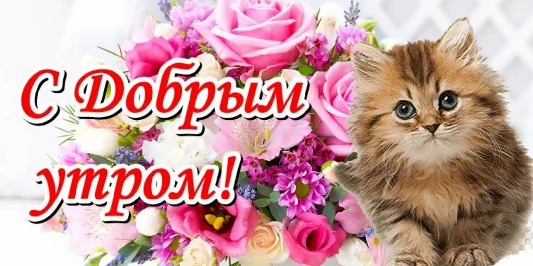 Как запретить родственникам и друзьям слать картинки в мессенджер?