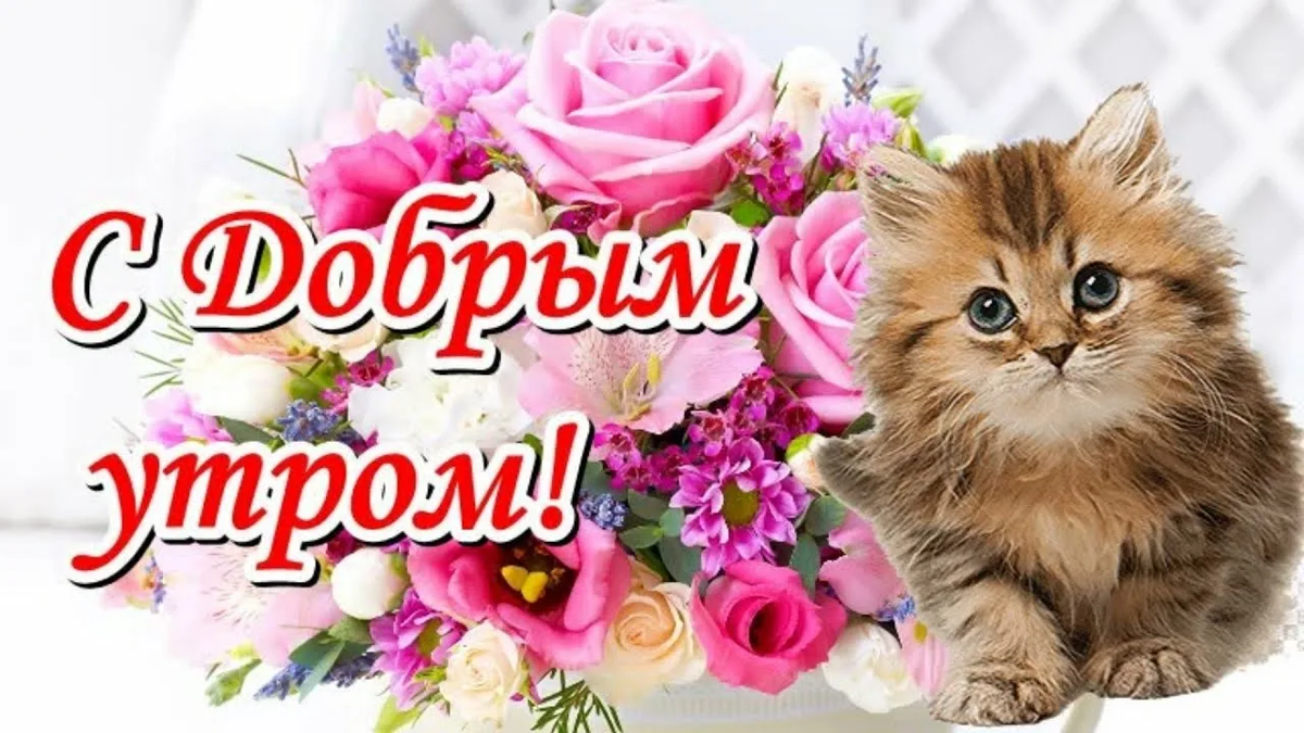 Фото: Яндекс Картинки