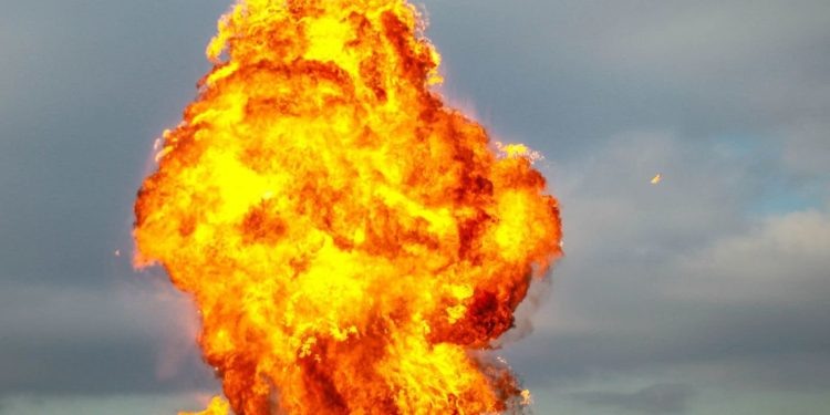    Илья Тушев / Вести Подмосковья