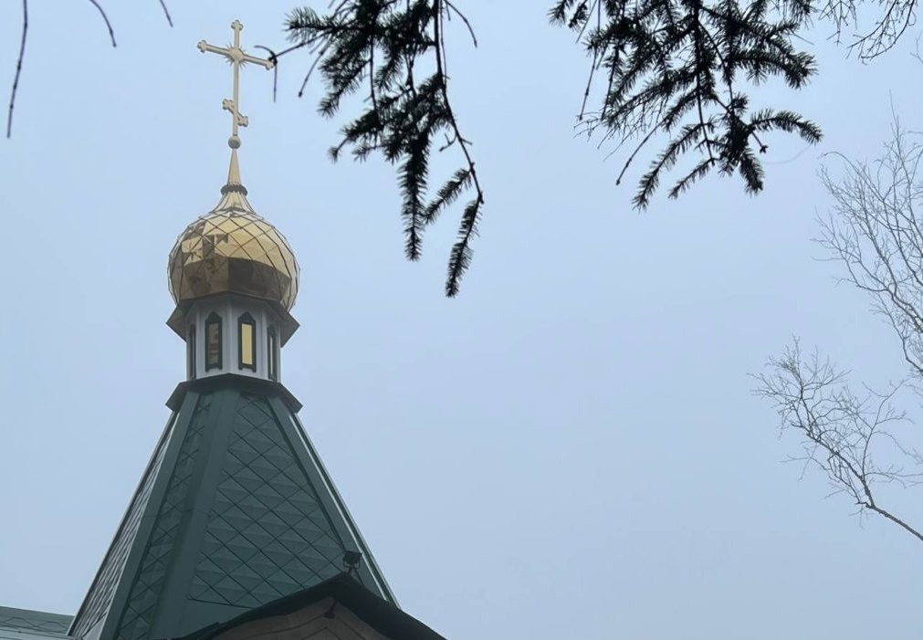    Фото: СвоёТВ Светлана Уварова