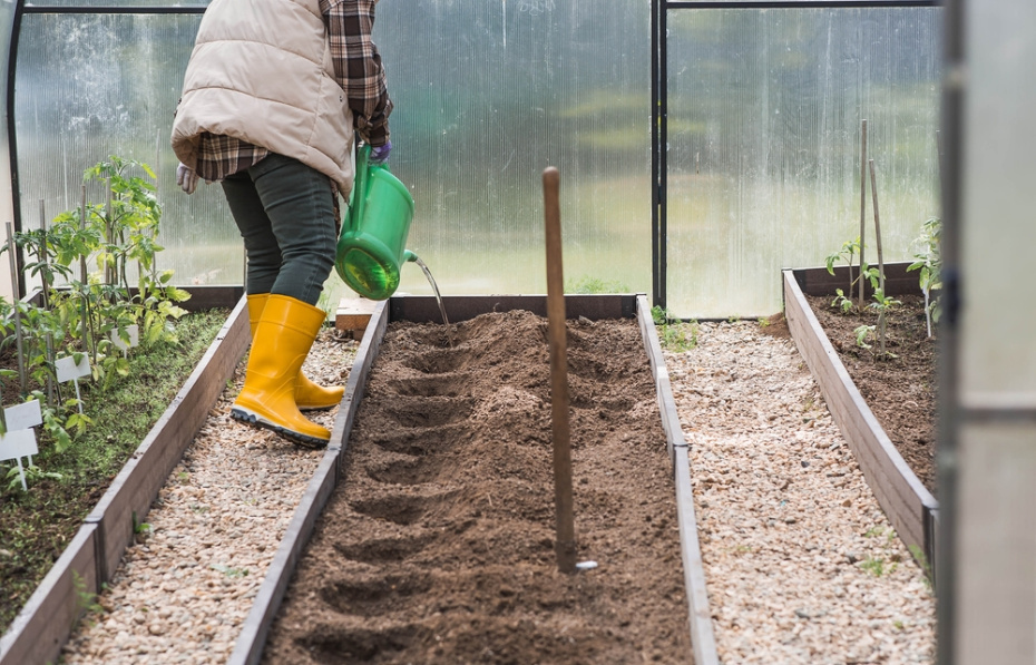    Shutterstock/FOTODOM