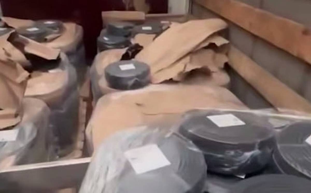    Фото: скриншот видео / Ирина Волк / Telegram