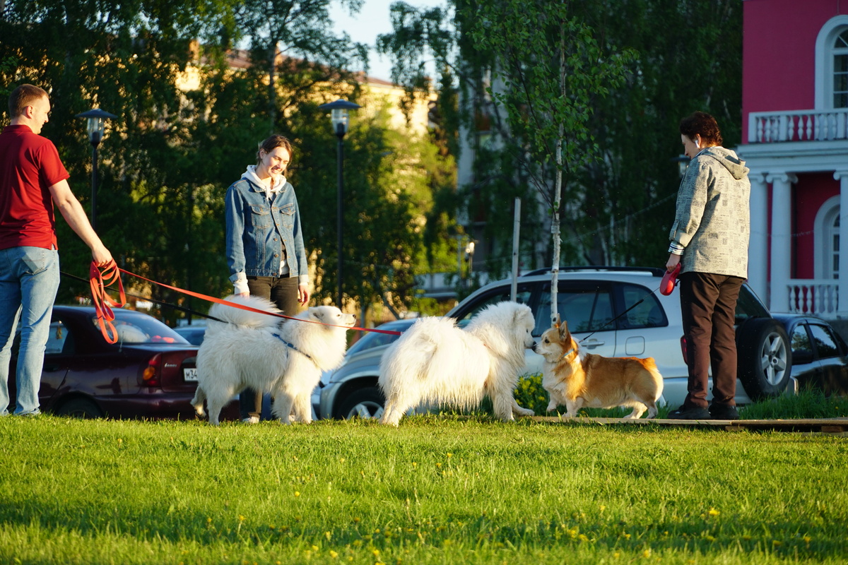    Маргарита Чащина