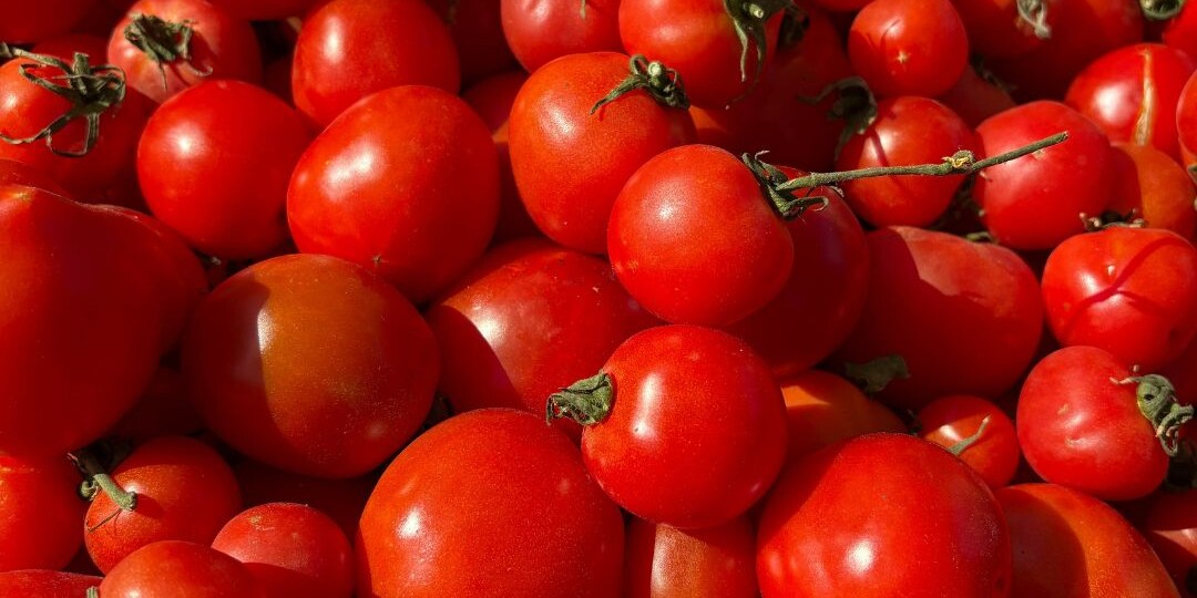 Помидоры положительно влияют на состояние печени
