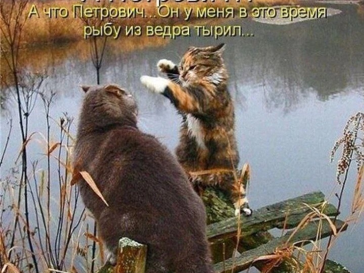 Прикольные мемы для отличного настроения