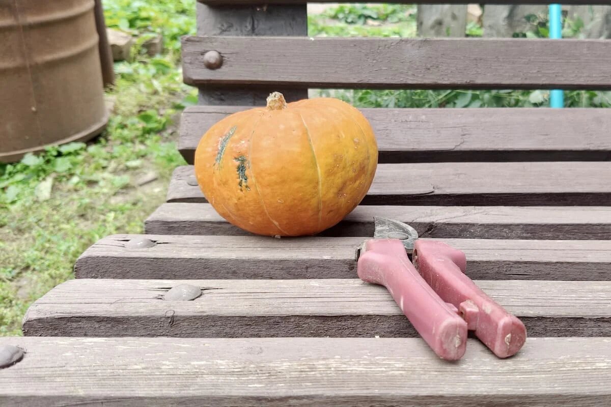 Фото: UfacityNews.ru