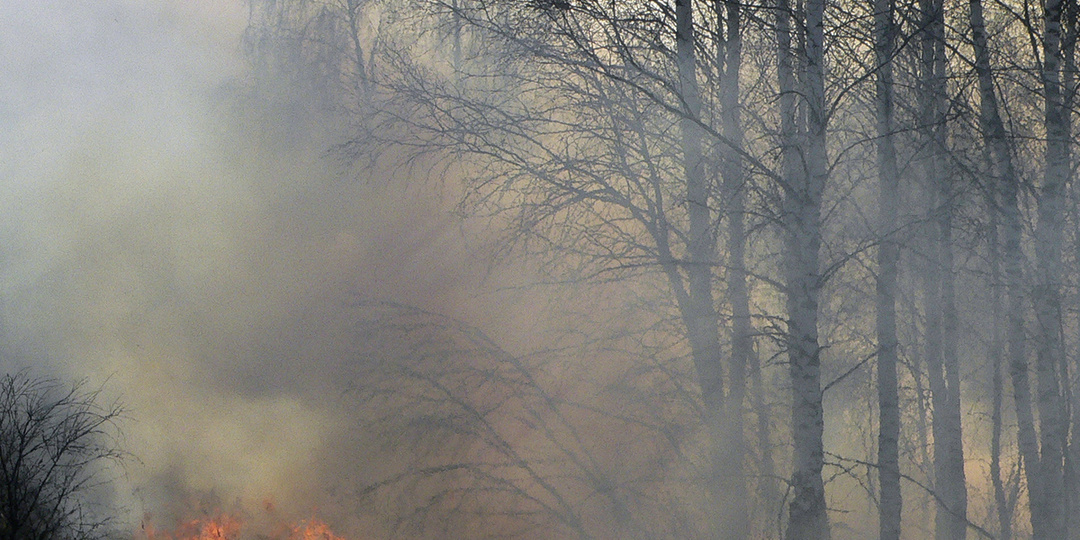 С 20 апреля в Подмосковье вводится особый противопожарный режим