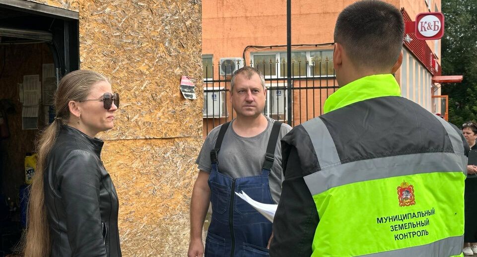    Минимущества