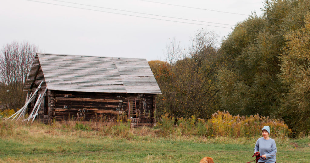Бесплатно раздавать земли по программе «борщевичный гектар» предложили в Госдуме