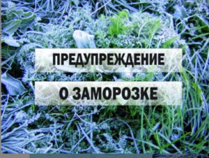 /  ФОТО МБУ АР «УПЧС» (112 Аксайского района) Администратор  📷
