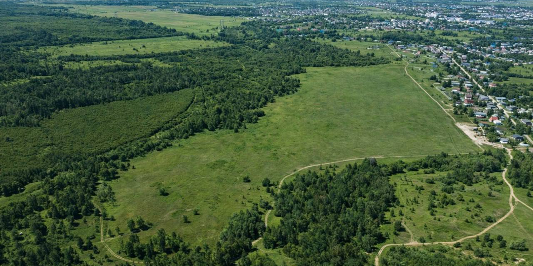 Участок рядом с лесом и рекой — формат, который разбирают первым