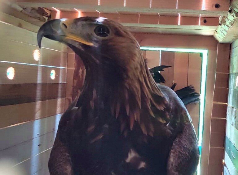    Фото: Росприроднадзор